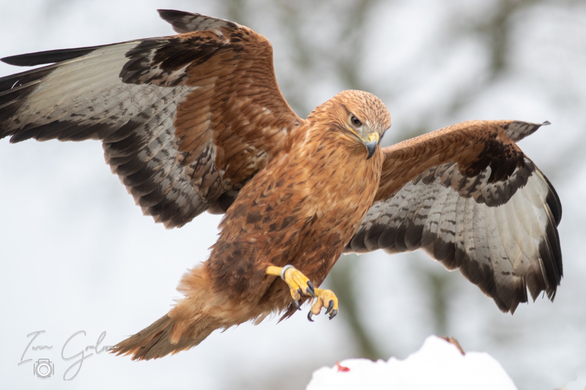 01 april 2022 115732 1DX47195